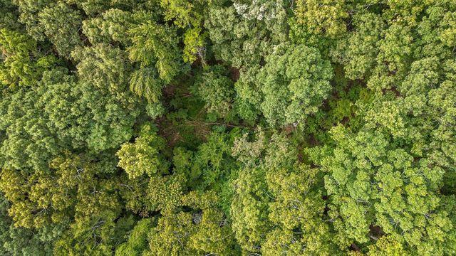 2255 Nickajack Road, Flintstone, GA 30725