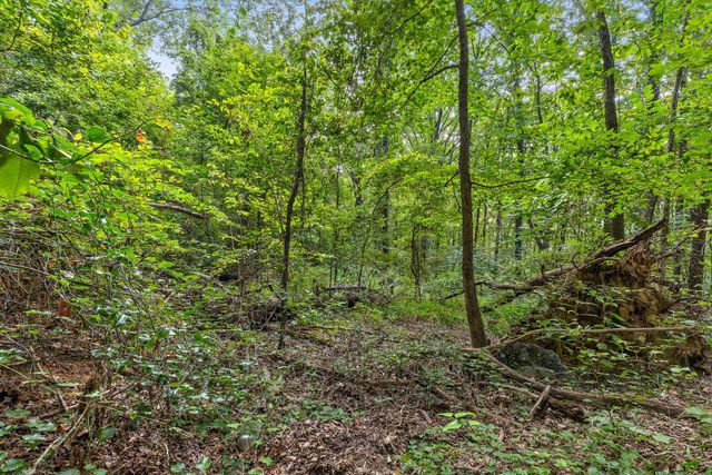 2255 Nickajack Road, Flintstone, GA 30725