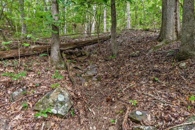 2255 Nickajack Road, Flintstone, GA 30725