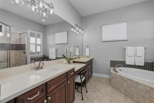 2838 SUNNY LEDGE COURT, Land O Lakes, FL 34638