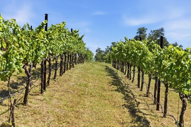 0 Miller Hill Road, Los Gatos, CA 95033