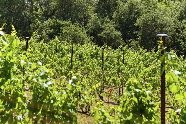 0 Miller Hill Road, Los Gatos, CA 95033