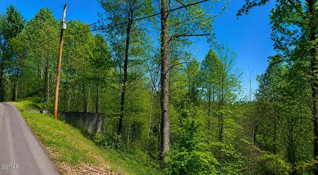 1811 Beach Front Drive, Sevierville, TN 37876