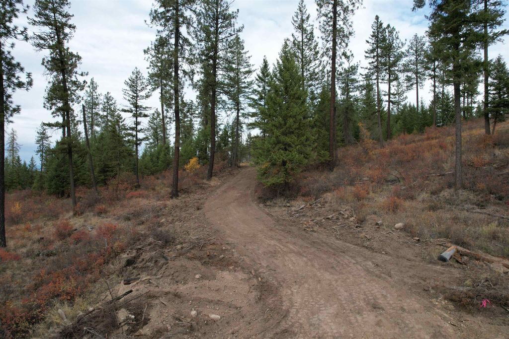 347X Solokar Rd Rd, Valley, WA 99181 photo 3