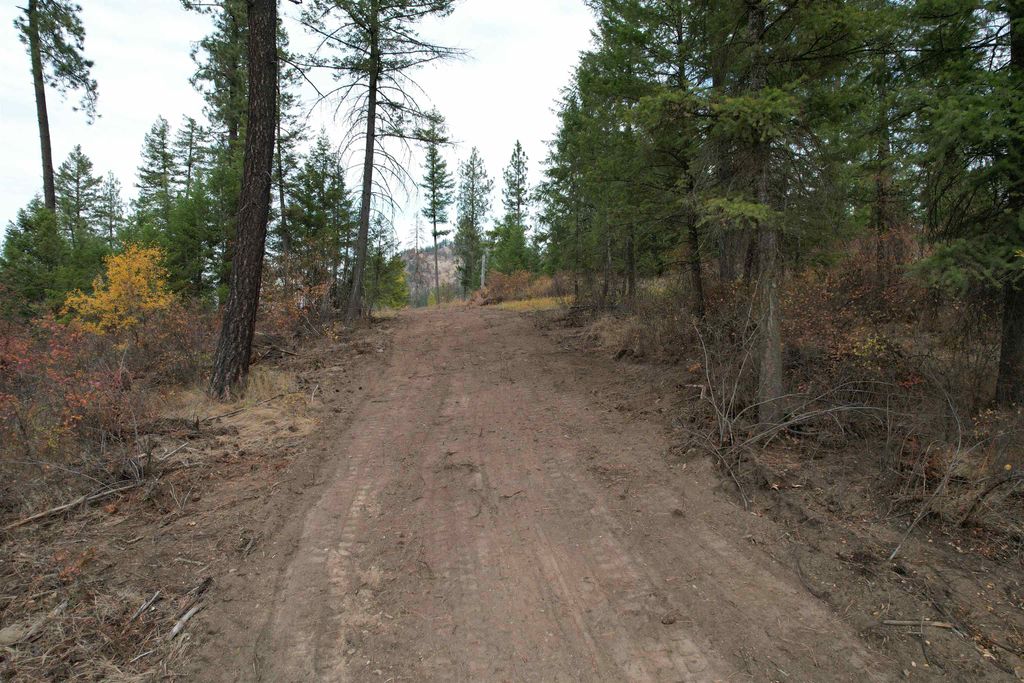 347X Solokar Rd Rd, Valley, WA 99181 photo 5