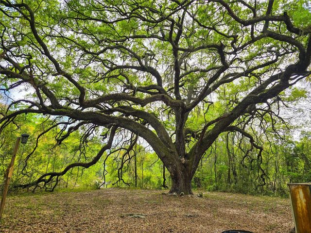 3095 COUNTY ROAD 202, Oxford, FL 34484