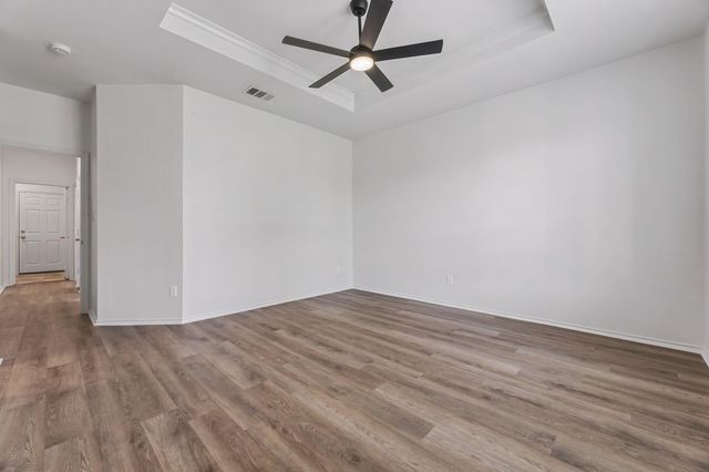 325 Stella Gold ST, Buda, TX 78610
