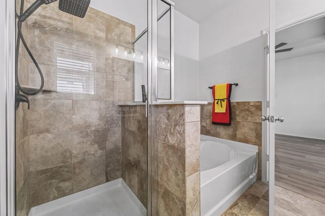 325 Stella Gold ST, Buda, TX 78610