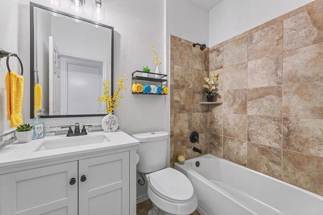 325 Stella Gold ST, Buda, TX 78610