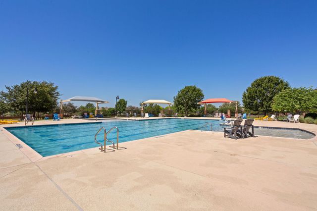 325 Stella Gold ST, Buda, TX 78610
