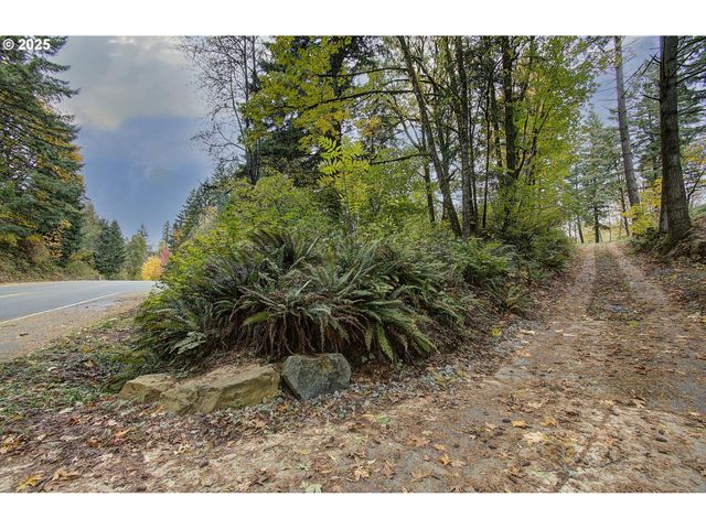 0 Se Crown Rd 50B, Washougal, WA 98671