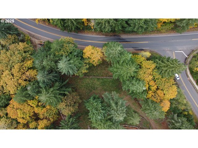 0 Se Crown Rd 50B, Washougal, WA 98671