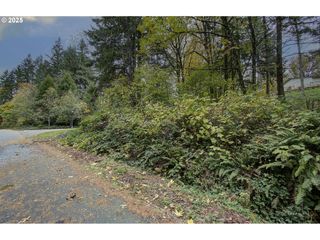 0 Se Crown Rd 50B, Washougal, WA 98671