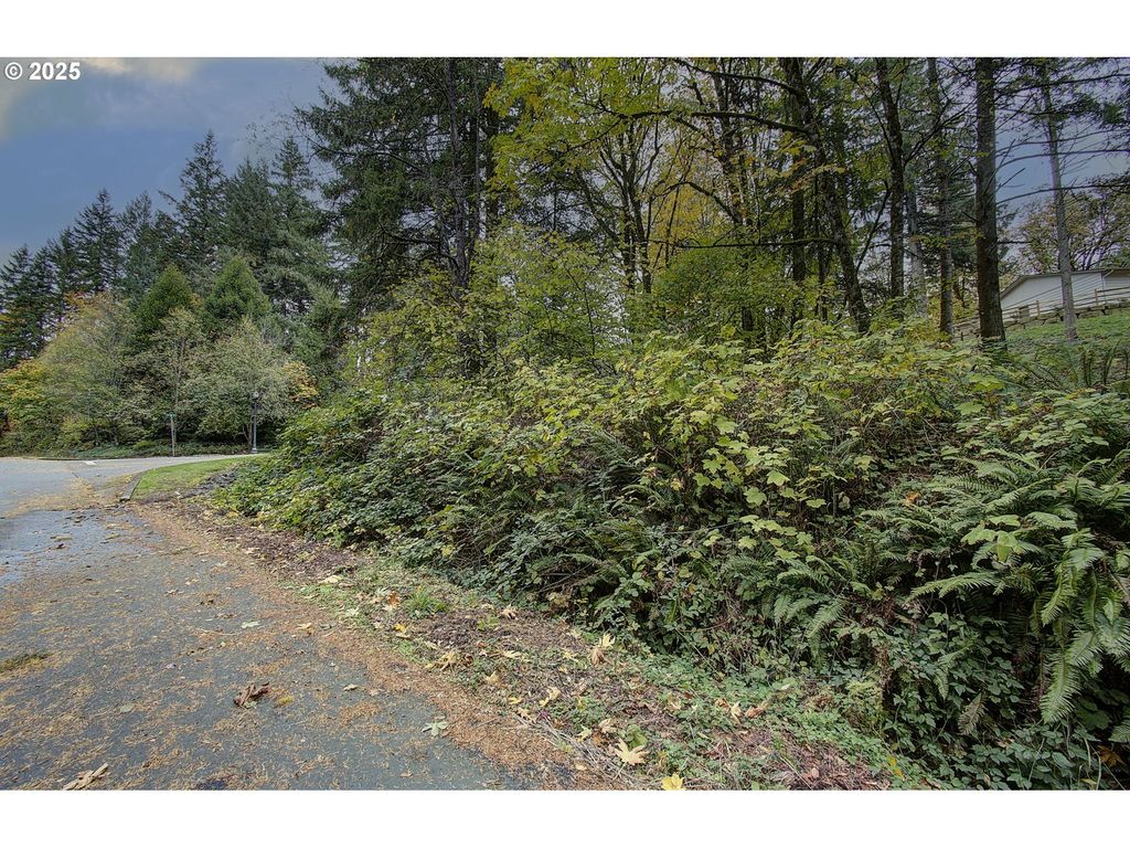 0 Se Crown Rd 50B, Washougal, WA 98671