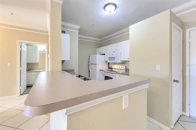 4323 BAYSIDE VILLAGE DRIVE 319, Tampa, FL 33615