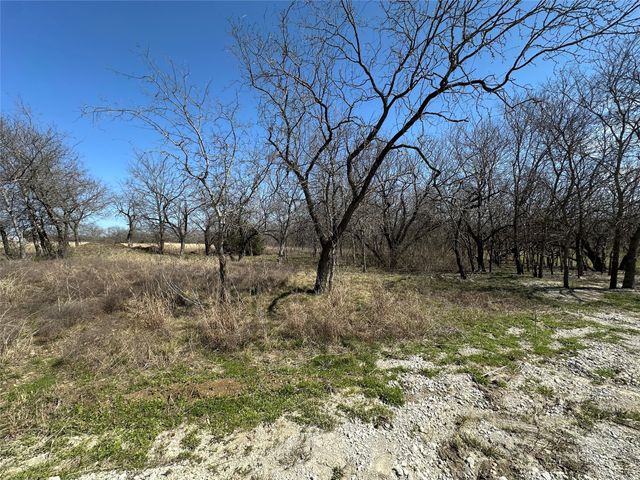 TBD Private Road 226, Whitney, TX 76692