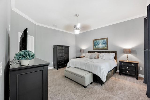 14103 BARRINGTON STOWERS DRIVE, Lithia, FL 33547