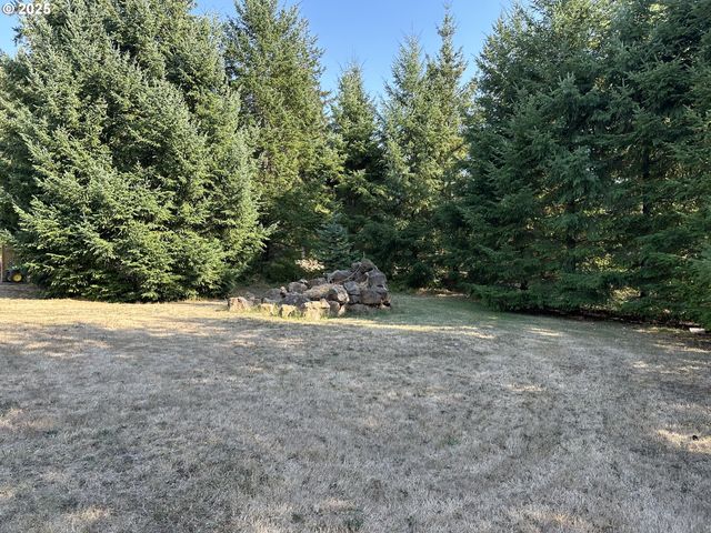 181 VADA St, Carson, WA 98610