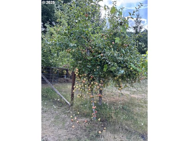 181 VADA St, Carson, WA 98610