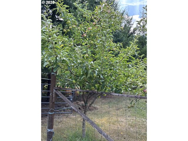 181 VADA St, Carson, WA 98610