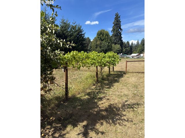 181 VADA St, Carson, WA 98610