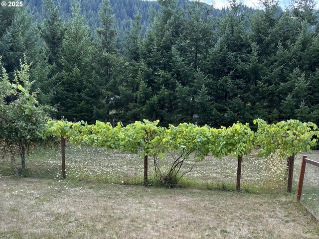 181 VADA St, Carson, WA 98610