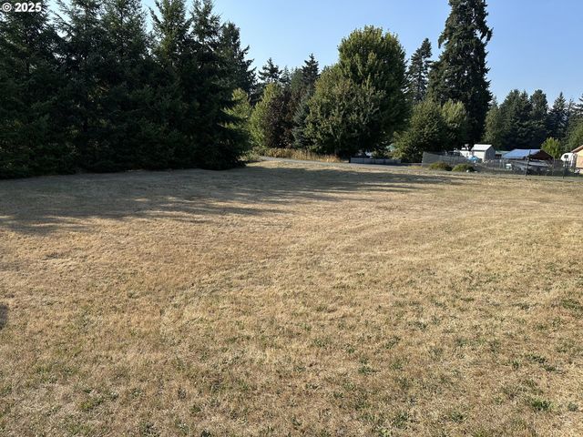 181 VADA St, Carson, WA 98610