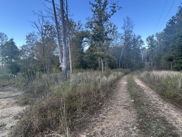 769 Preston Baggett Rd, Cumberland City, TN 37050