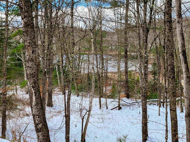 1165 West County Road, Calais, VT 05648