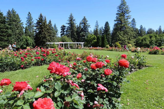 207 W 24th Ave, Spokane, WA 99203