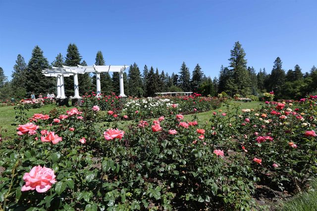 207 W 24th Ave, Spokane, WA 99203