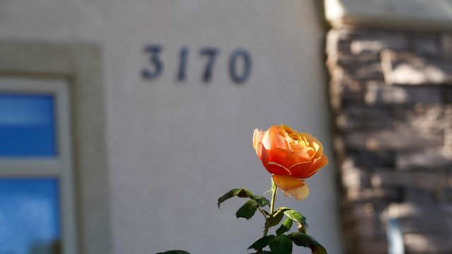 3170 Saddle Gulch Drive, Grand Junction, CO 81504