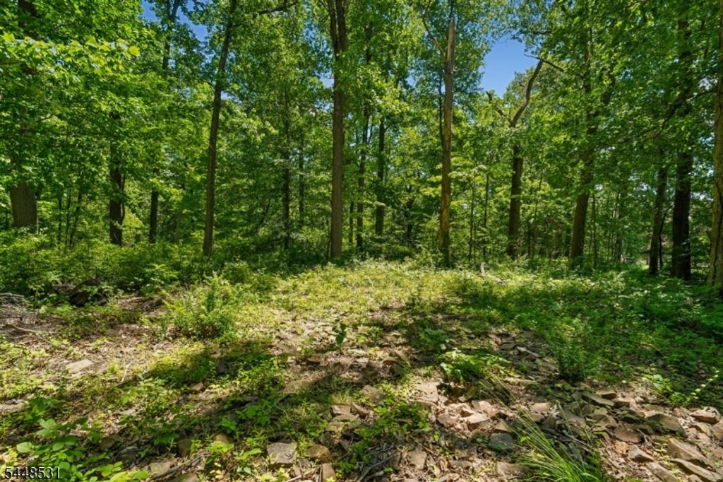 210 King George Rd, Warren Twp., NJ 07059 — photo 3