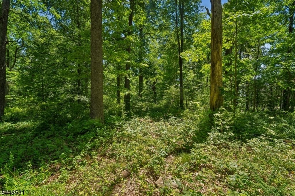 210 King George Rd, Warren Twp., NJ 07059 — photo 4