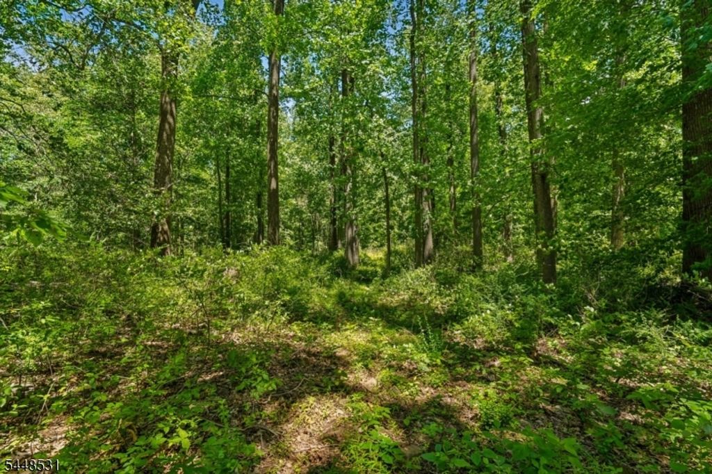 210 King George Rd, Warren Twp., NJ 07059 — photo 5