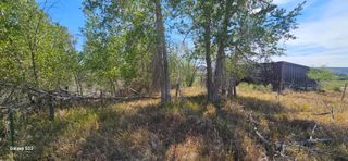 TBD Underwoods Lane, Montrose, CO 81403