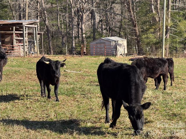 37 Cherokee Trail, Fletcher, NC 28732