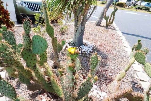 4109 LAKE BAYSHORE DRIVE 407, Bradenton, FL 34205