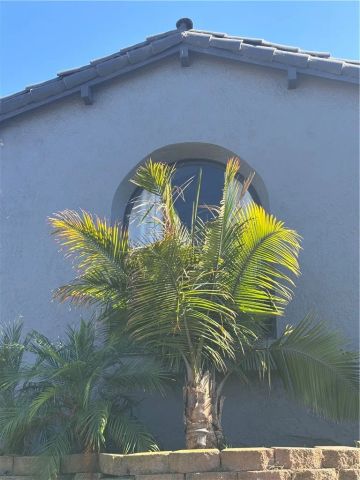 3208 W 74th Street, Park Hills Heights, CA 90043