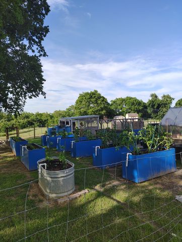 1147 Hill County Road 1458, Itasca, TX 76055