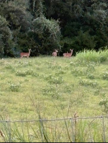 1147 Hill County Road 1458, Itasca, TX 76055