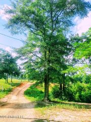 250 Redfish Rd Road, Poplarville, MS 39470