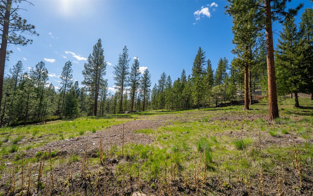 3605 Hubbart Dam Road, Marion, MT 59925 photo 4