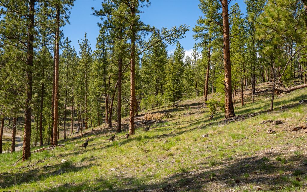 3605 Hubbart Dam Road, Marion, MT 59925 photo 5