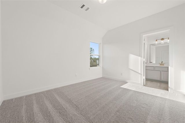 26133 North Skylight Brook Circle, Montgomery, TX 77316