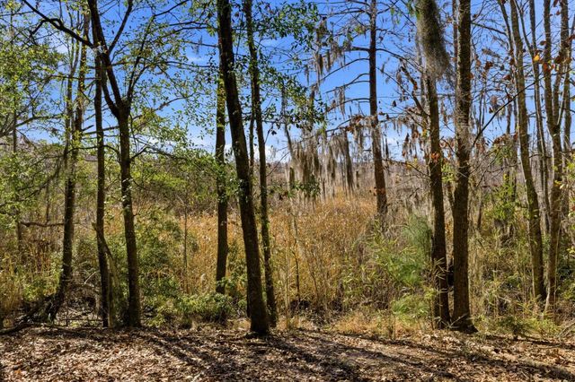 602 Chapman Loop, Pawleys Island, SC 29585