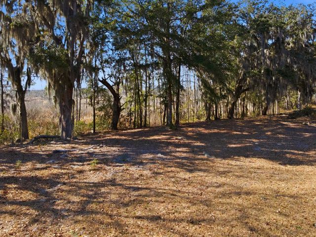 602 Chapman Loop, Pawleys Island, SC 29585