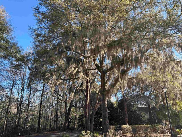 602 Chapman Loop, Pawleys Island, SC 29585