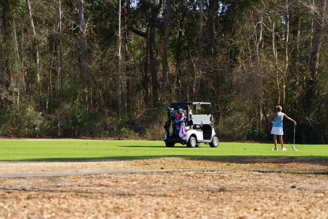 602 Chapman Loop, Pawleys Island, SC 29585
