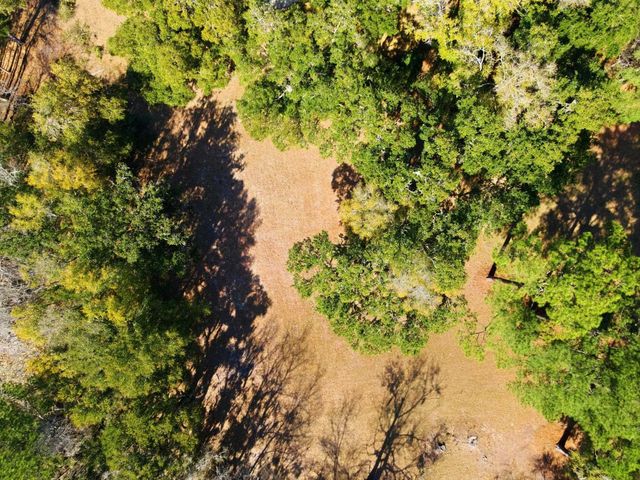 602 Chapman Loop, Pawleys Island, SC 29585